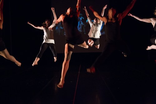 credit: Molly DeCoudreaux