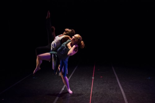 credit: Molly DeCoudreaux