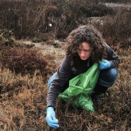 Shoreline clean up for MLK “Day of Service”