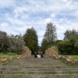 “Reach” – This Land Oakland