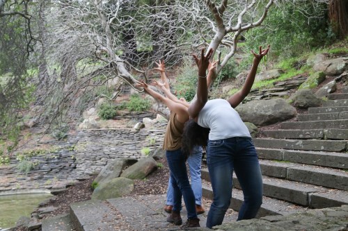 ThisLand-Cascade5347