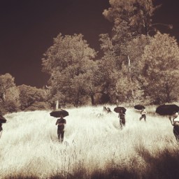 Summer Campaign is LIVE! — check out the video!