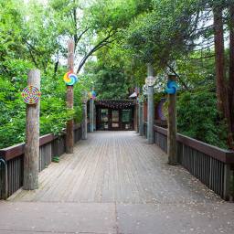 Press Release: 2018 Residency at Berkeley Art Center