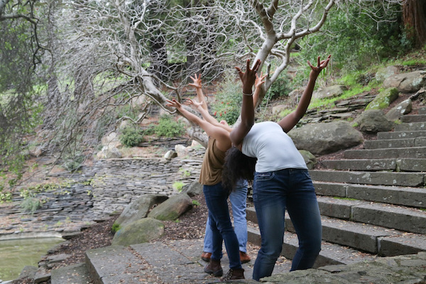 thisland-cascade5347