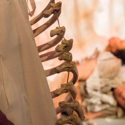 Spirit & Bones performance photos