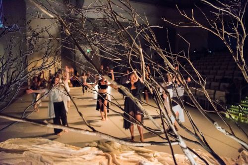 SarahBushDance_AmalBisharat_8161