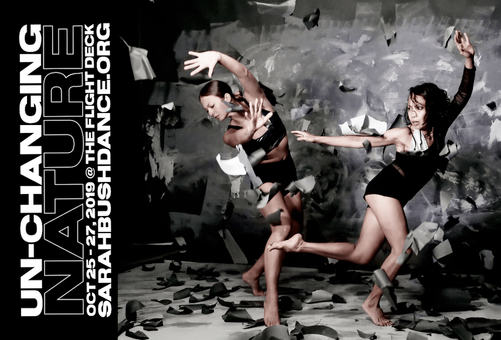 Un-Changing Nature flyer