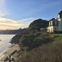 Press Release – Audubon California Announces New Dance Residency with SBDP