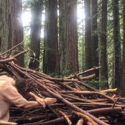 Join us Sept 10th, 8am PDT for a bird sit!