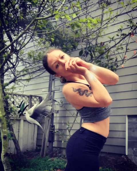 Julianna Cressman #sixfootwingspan