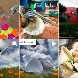 We’re half way! $5k needed to meet our Challenge Grant! 💸💸