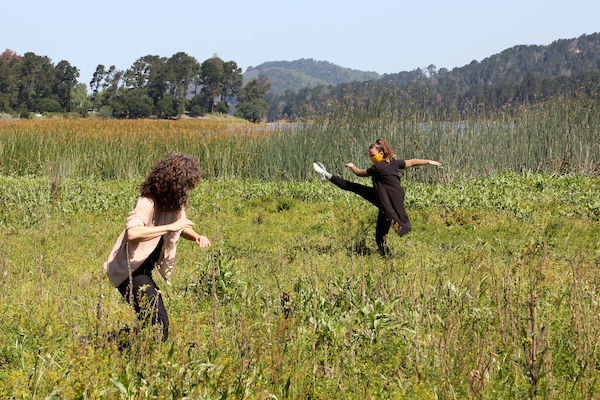 SBDP-Harding-6D9A6583