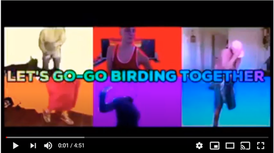 Go-Go Birding Video
