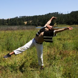 Join us! SBDP & Audubon CA live-streaming 6/15 at 1pm PDT