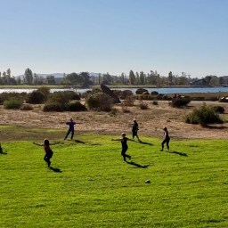 Hand on heart, hand on belly, breathe.