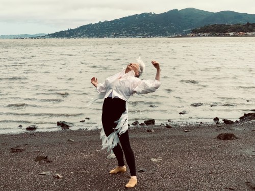 Joan Lazarus, egret, couture, Collen Quen, Richardson Bay